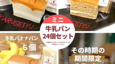 【送料無料！】「ミニ牛乳パン24個セット」が新発売！